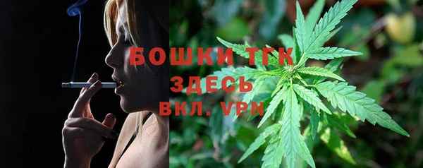 spice Осинники