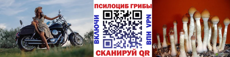 Галлюциногенные грибы Magic Shrooms  Октябрьск 